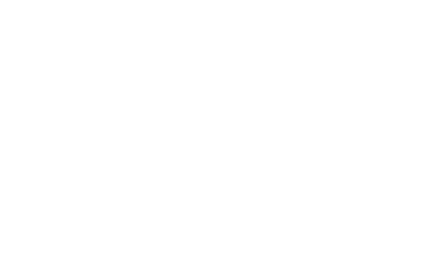 Logo de Tareanet, servicios de tareas online en Chile